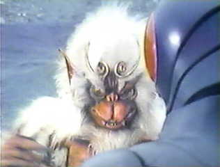 rx 第37話 牙むく獣人忍者隊 あしたはきっと特撮日和