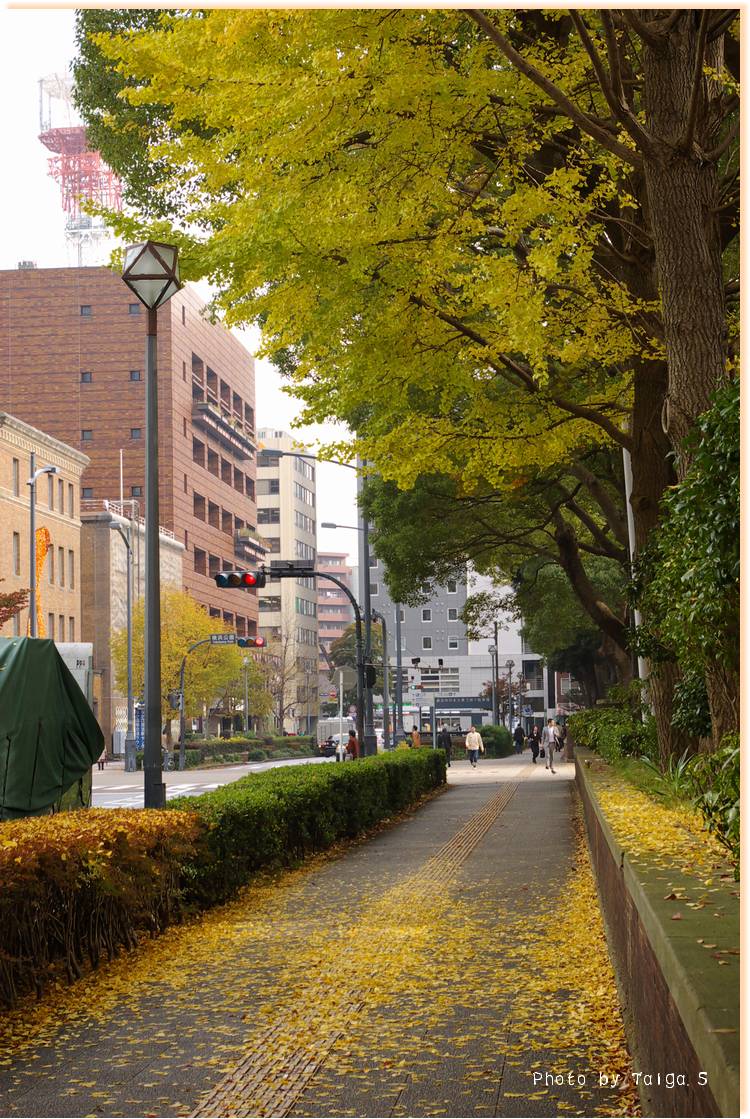 黄色い歩道 神奈川県横浜市中区 関内の日常風景写真 逍遥さん 日常風景写真ブログ