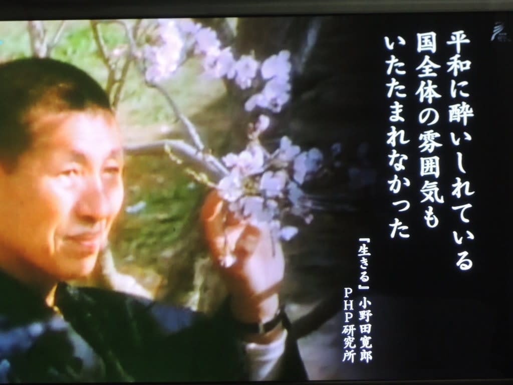 小野田少尉 帰還 戦後29年 ジャングルの中で 2 019 8 8 23 Snclimbエス クライムのブログはじめました 小野田少尉 帰還 戦後29年 ジャングルの中で 2 019 8 8 23 Snclimbエス クライムのブログはじめました