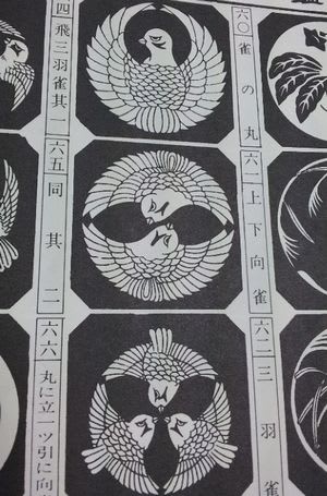 20120707_135555.jpg
