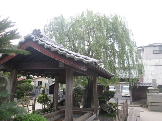 禅語 36 柳は緑 花は紅 真面目 しんめんもく 行雲流水 禅語 36 柳は緑 花は紅 真面目 しんめんもく 行雲流水