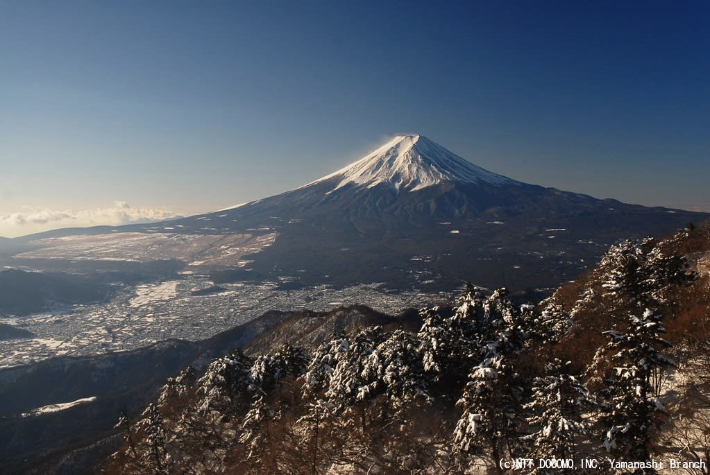 富士山 の 発情 期