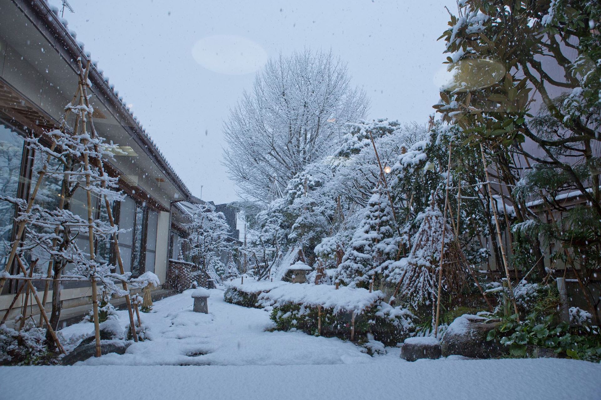 シトロエン C3 に改良新型、表情一新…6月欧州発売へ e燃費