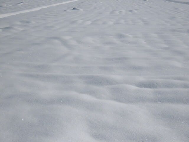雪で覆われた田圃　長野県　松本市