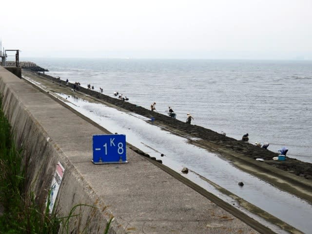 潮干狩り（再）の画像