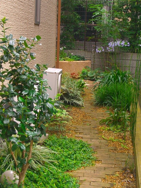 庭 デザイン 小道 いろいろ 有機栽培 無農薬の庭づくり ガーデンカウンセラーたみこさんのブログ