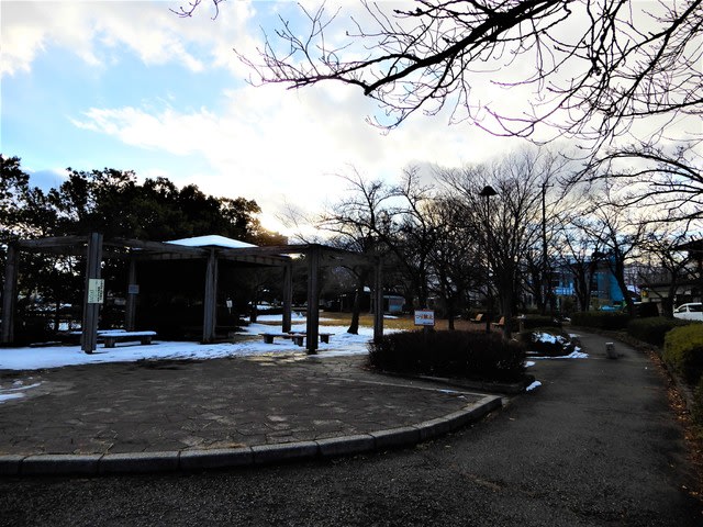 ２０１９ １ ３ 長野市の野外彫刻 辰巳公園 ミールケアのしなのかぐや姫な夜 今日のころころこころ
