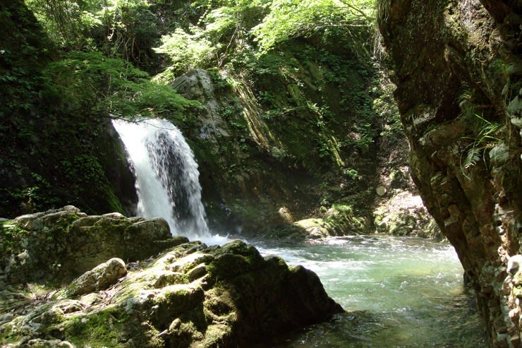 魚止の滝 新潟県阿賀野市 滝と渓谷