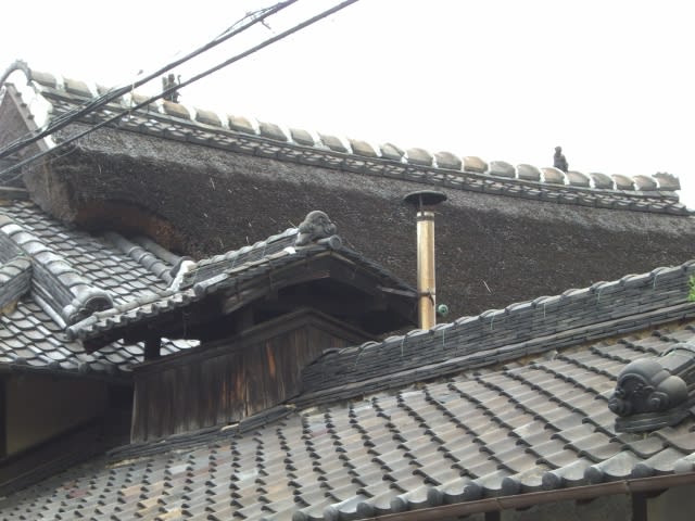石田家の猿棟。 - ゆう猿ワールド