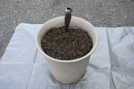 パンジー ビオラを 大きく育てよう 土の再生の仕方 フローリスト シュエット