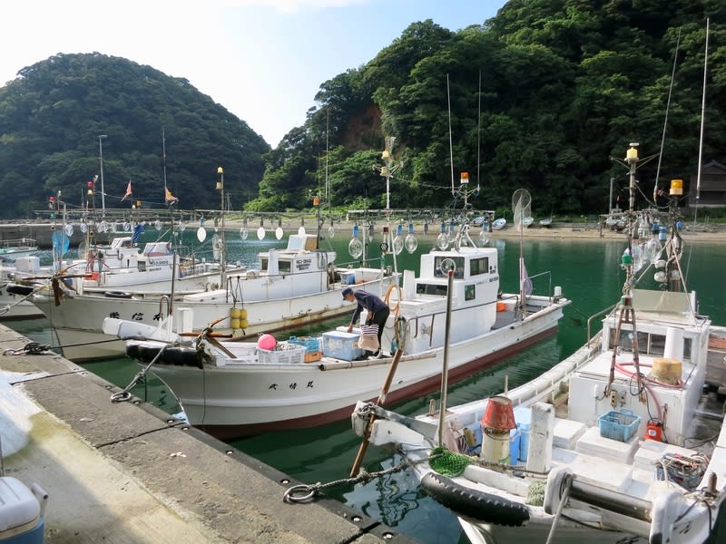 居組の海で白イカ釣り 前編 はりさんの旅日記