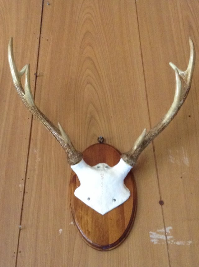 鹿の角トロフィーの模型を作ってみた - 三畳ほどの部屋