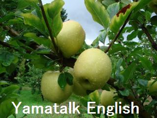 りんごのことわざ 東京オンライン英語教室のyamatalk English でジョリーフォニックスも習えます