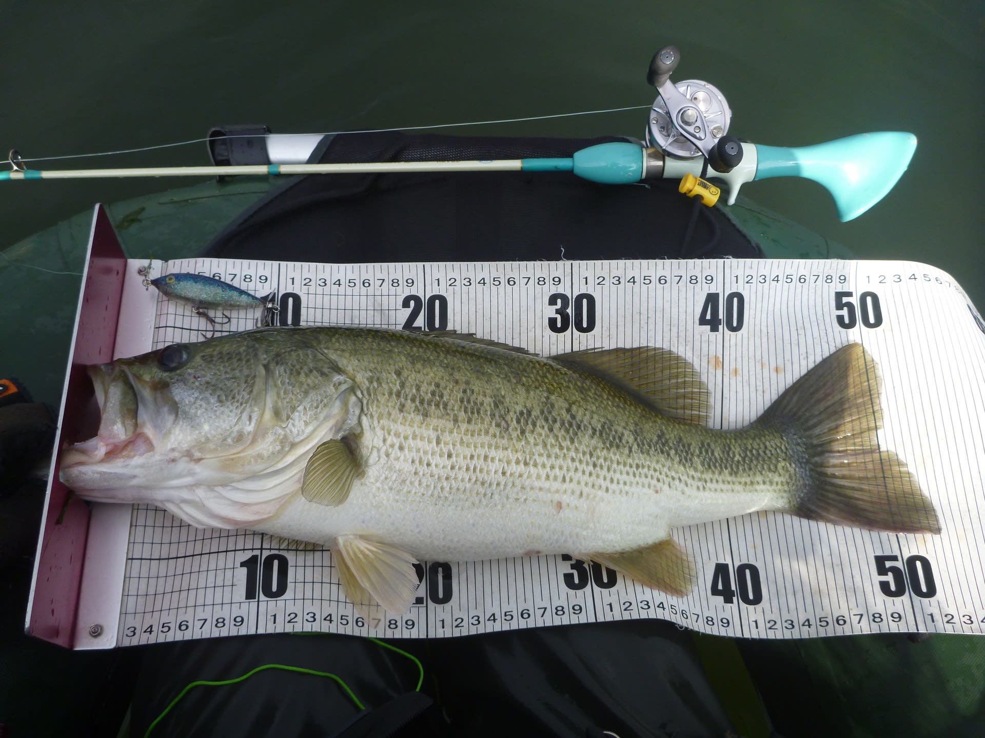 輝け 琵琶湖トップウォーターバス釣り日記アワード17 琵琶湖トップウォーターバス釣り日記 輝け 琵琶湖トップウォーターバス釣り日記アワード17 琵琶湖トップウォーターバス釣り日記