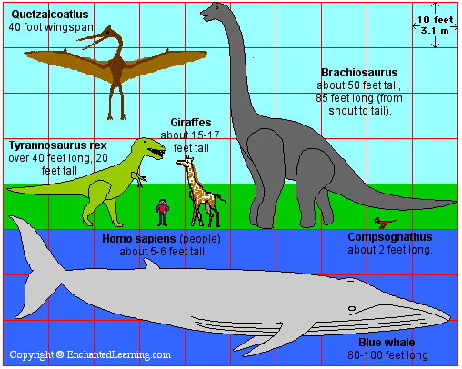 巨大な動物シロナガスクジラ 海人の深深たる海底に向いてー深海の不思議ー