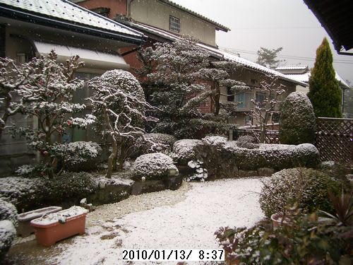 雪が降る