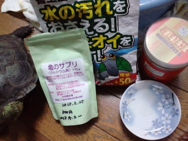 カメさんの産卵 飼育環境 よあけのポロリ 19 5 一回目 とある加温飼育クサガメ女子の場合 クサガメ のんちゃん と暮らす