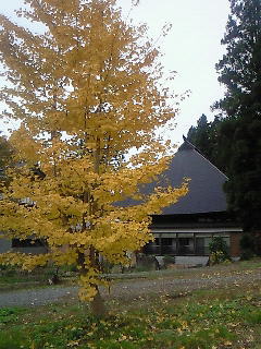 永林寺の紅葉