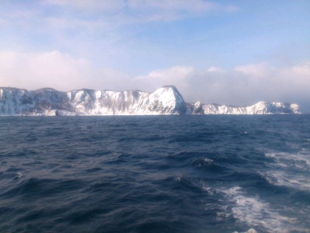 積丹ブルー 幌武意沖にサクラマスちゃん・・・痛・痛・痛てて 北海道seamaster積丹ブルー