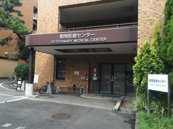東京大学附属動物医療センターに行ってきました！ くろぶろぐ