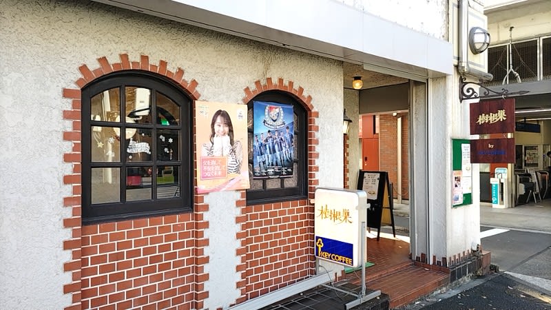 樹根巣:外観