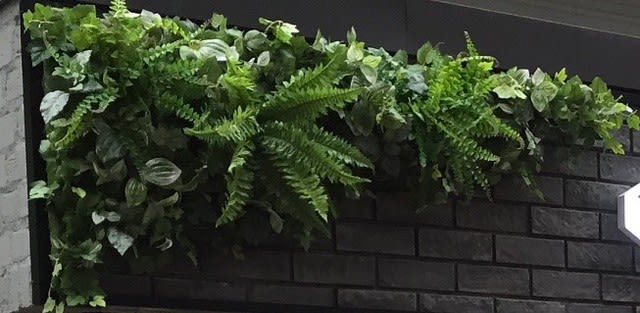 壁面緑化 造花フェイクグリーンの画像