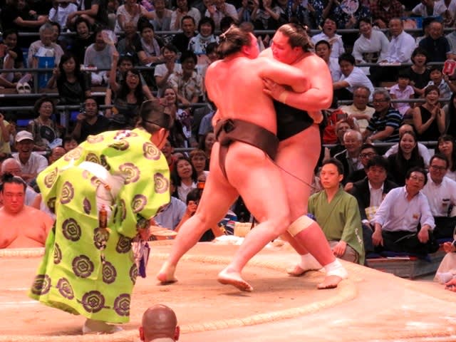 大相撲観戦の画像