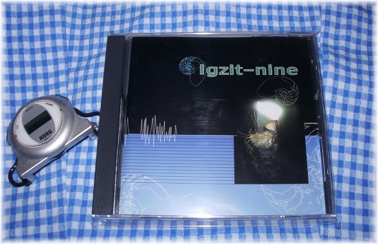 Igzit-nine - ひよりの音楽自己満足