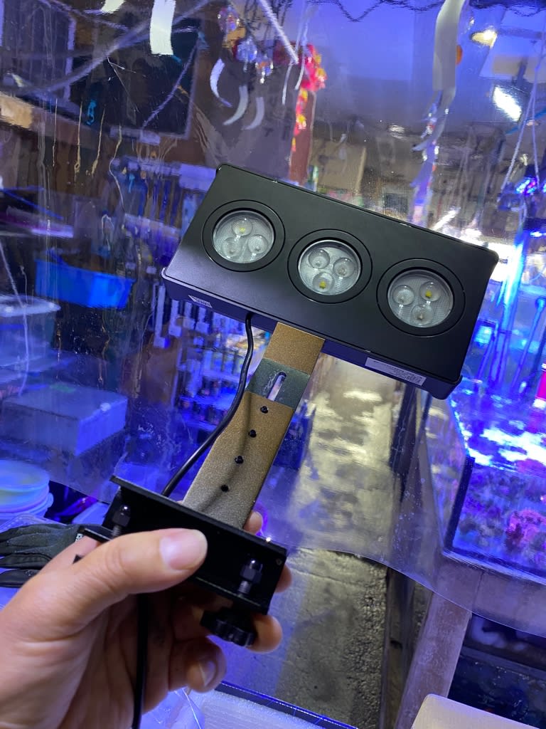 中古zooxオプティマスリーフナノledライト 熱帯魚店モンスターアクアリウム 川口店 買取販売情報