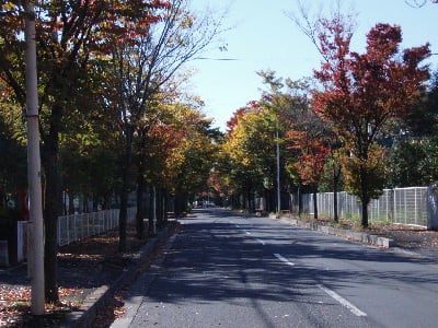 桶川「舎人公園（1）