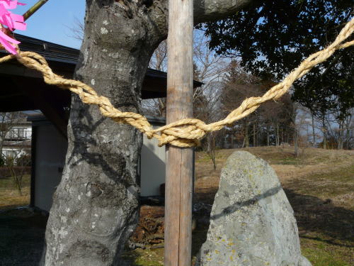 松本市内田横山地区の御柱