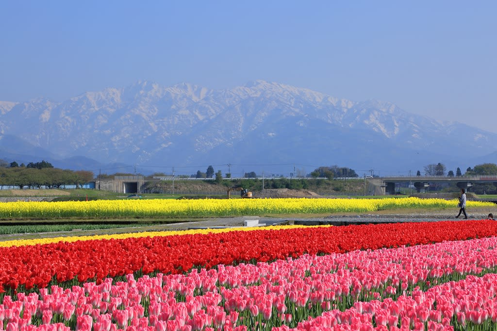 ・金沢から発信のブログ　風景と花と鳥など
