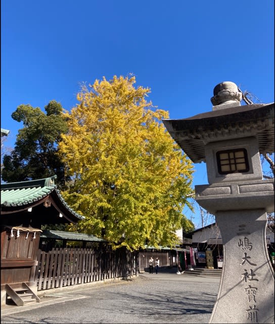 参拝日記〜伊豆半島の付け根の三嶋大社〜 - 虹パパの日記