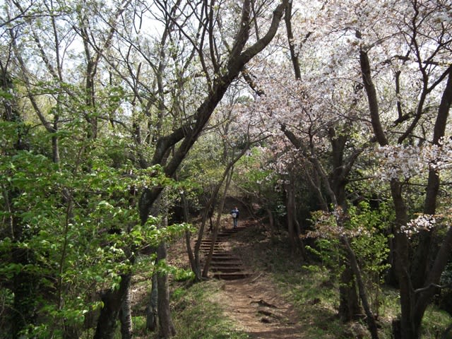 展望台へ向かう道