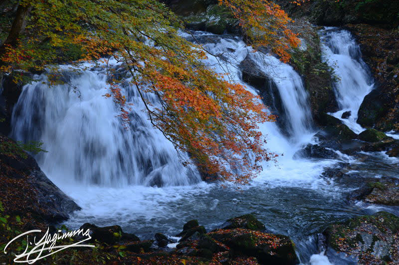 江竜田の滝 14年11月 明日を楽しく