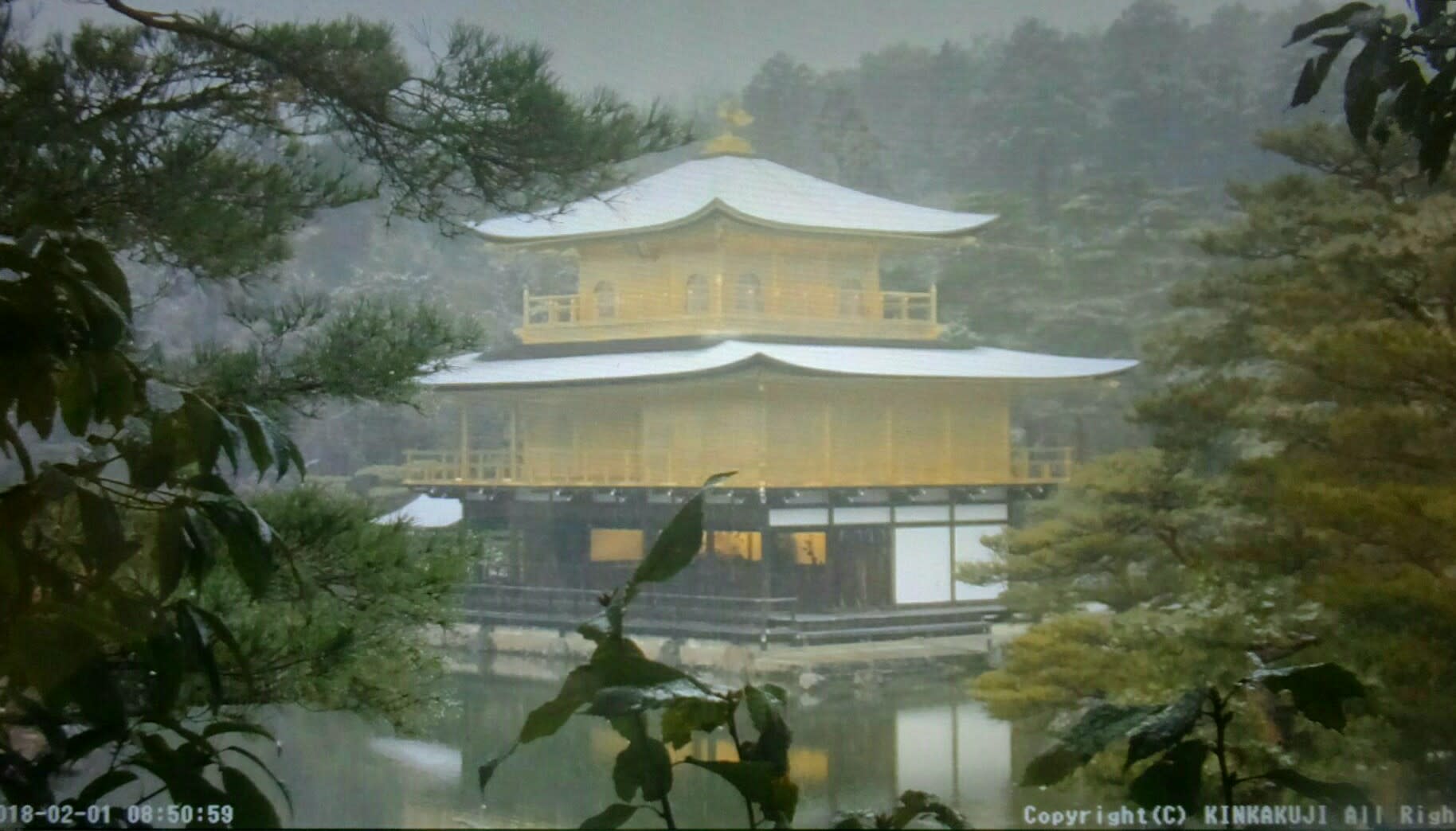 今朝の金閣寺ライブ 閲覧数 京都で定年後生活