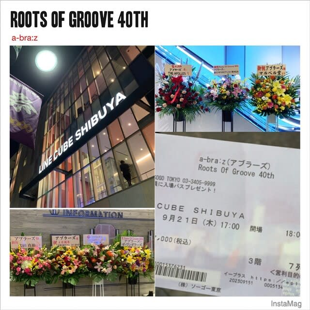 アブラーズ Roots Of Groove DVD - ミュージック