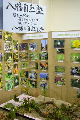 八幡自然塾の展示