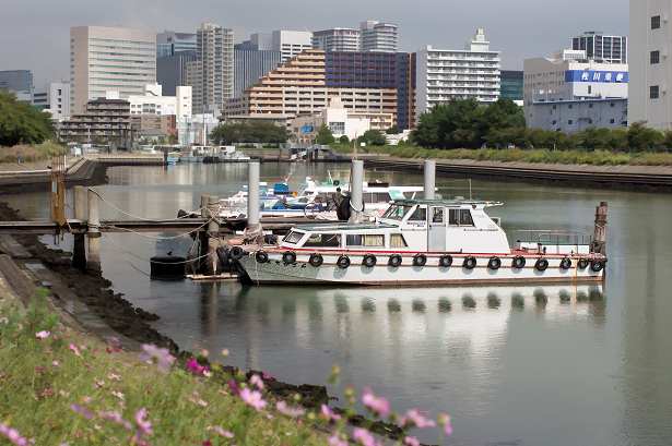 13 10 07 品川区東大井2 勝島運河の眺望 散歩 旅行そして海外滞在の写真備忘録 13 10 07 品川区東大井2 勝島運河の眺望 散歩 旅行そして海外滞在の写真備忘録