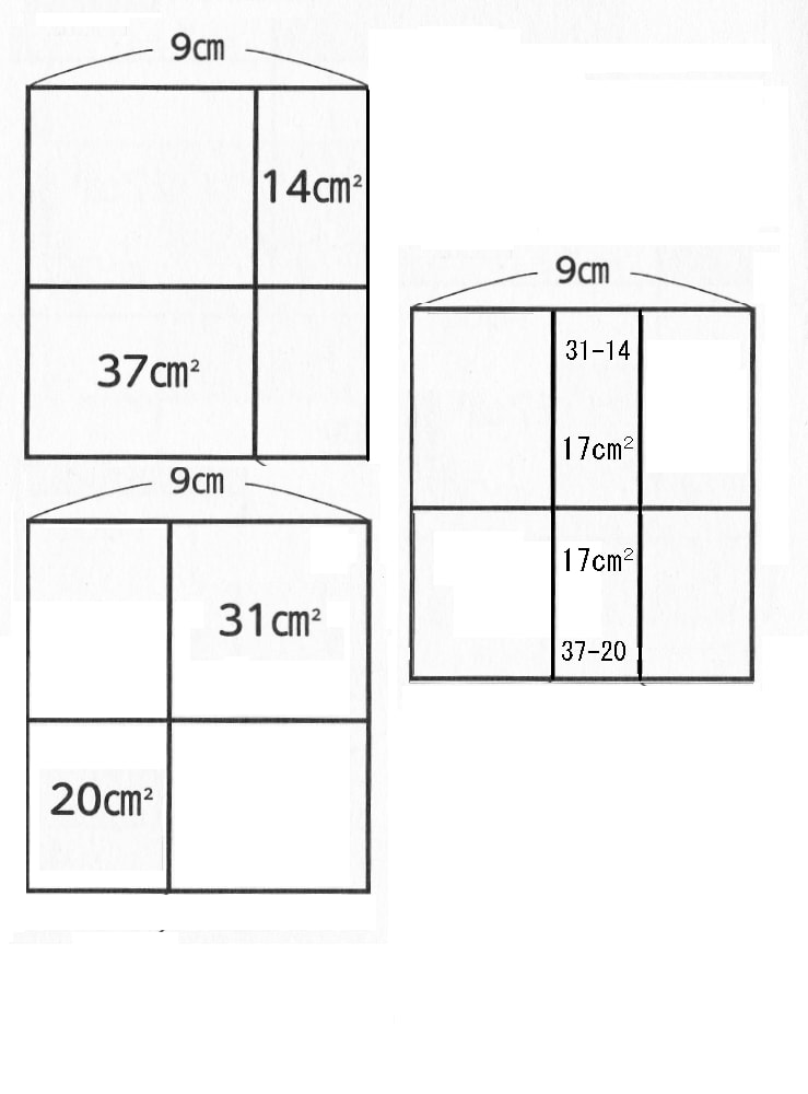 面積迷路９９最終 Takapの数学日記