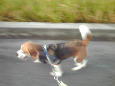 20090926_0061