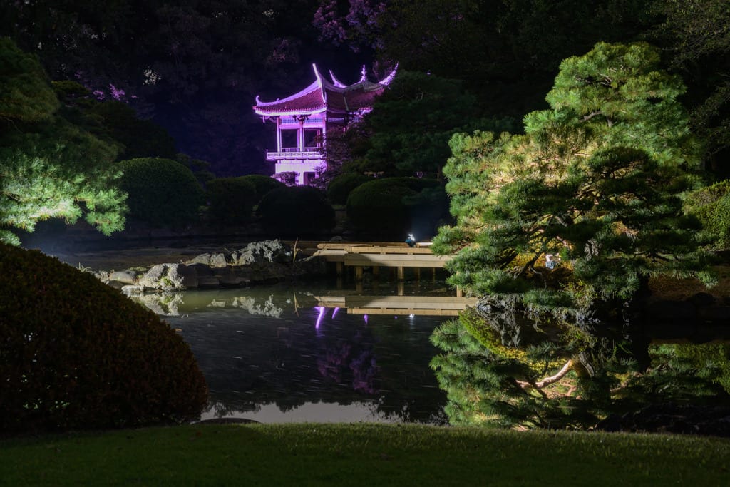 新宿御苑の菊花壇展ライトアップに行ってきました 放浪の記録 新宿御苑の菊花壇展ライトアップに行ってきました 放浪の記録