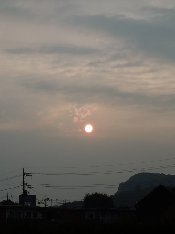 もう直ぐ一年 朝ウォーキング風景 7月29日 太陽とフクロウ君 Yopikoの たなばた日記