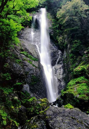 「熊本県八代の滝」