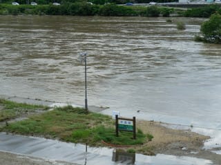 芦田川