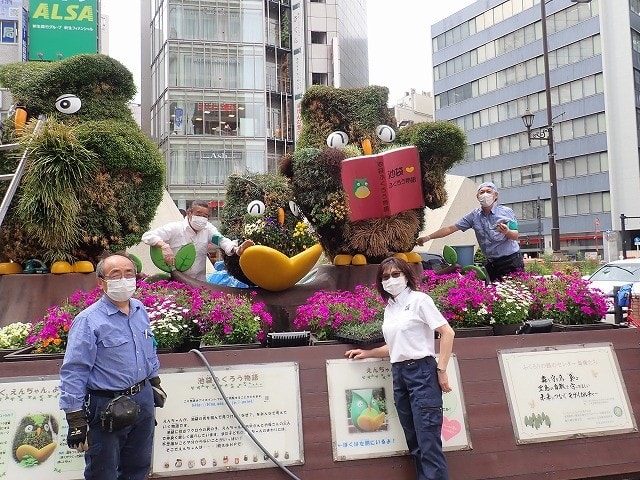 植物アート トピアリー手入れ のブログ記事一覧 トピアリー ブログ 植物アート トピアリー手入れ のブログ記事一覧 トピアリー ブログ