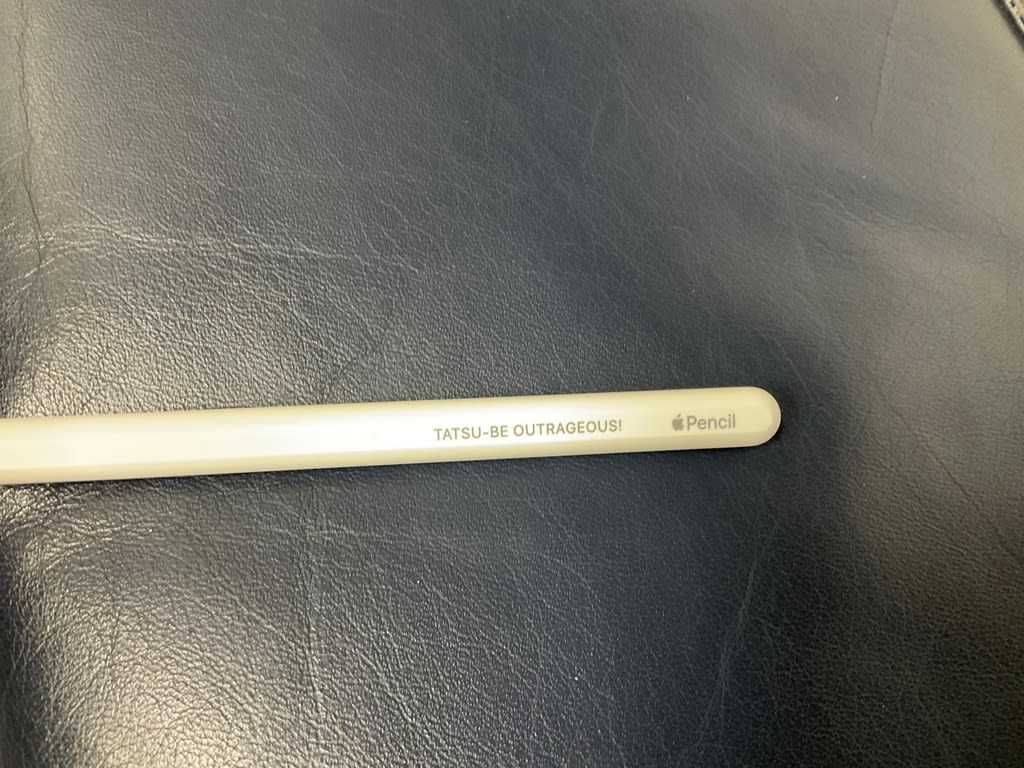 Apple Pencil 第二世代 アップルペンシル 刻印なし