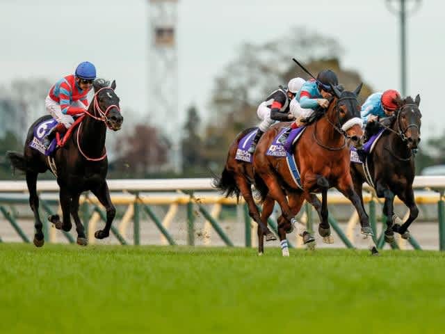 G 回顧 ジャパンカップ ラジオnikkei賞 京都２歳s 京阪杯 金融マーケットと馬に関する説法話