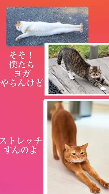 ストレッチだ！！！ - わ～るどおぶわんだ～ず