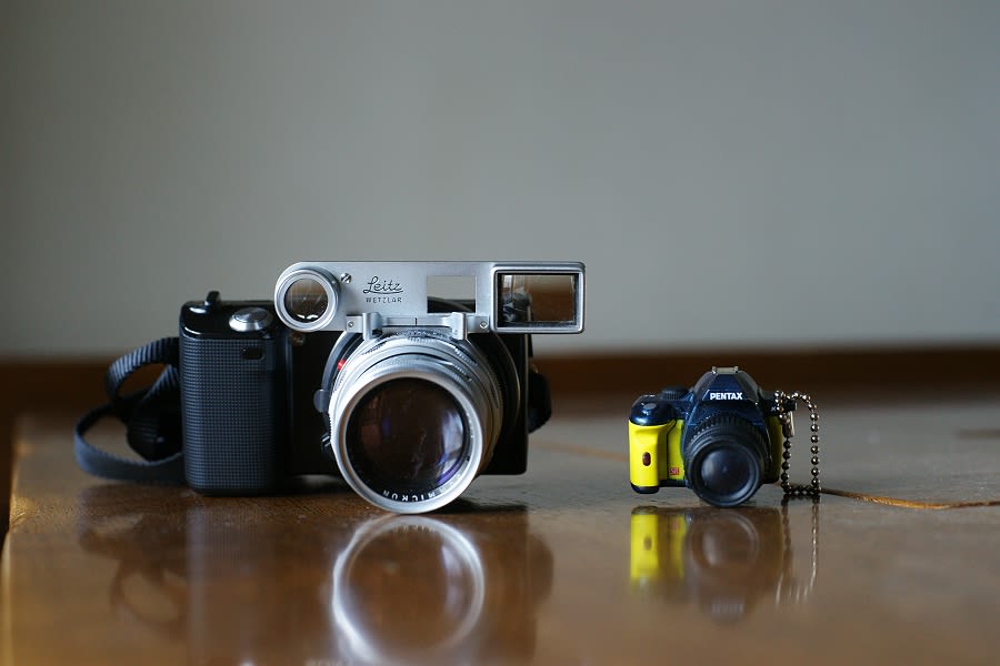 SONY NEX/Leica DR Summicron mm/F2.0 接写メガネを使う